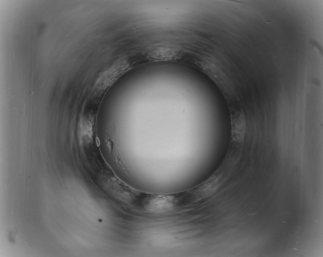 X0000101690334200807101519