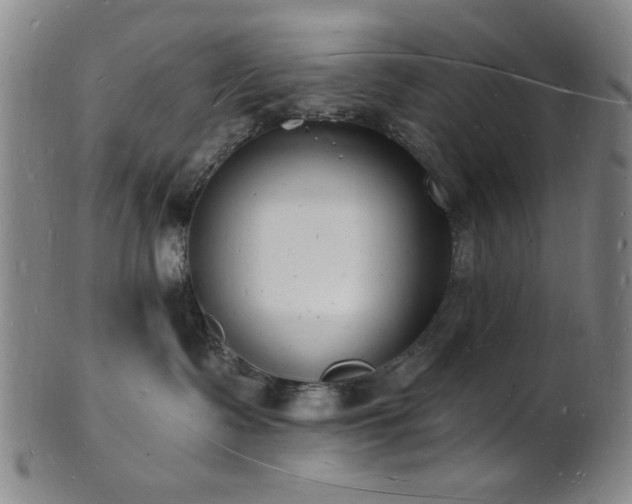 X0000101690335200807101519