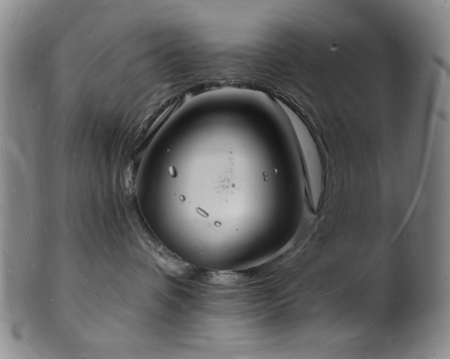 X0000101690336200807101519