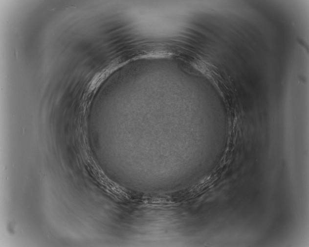 X0000101690337200807101518