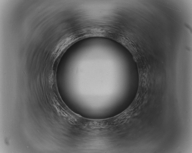 X0000101690338200807101518