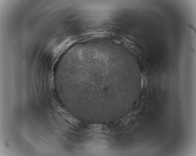 X0000101690339200807101518