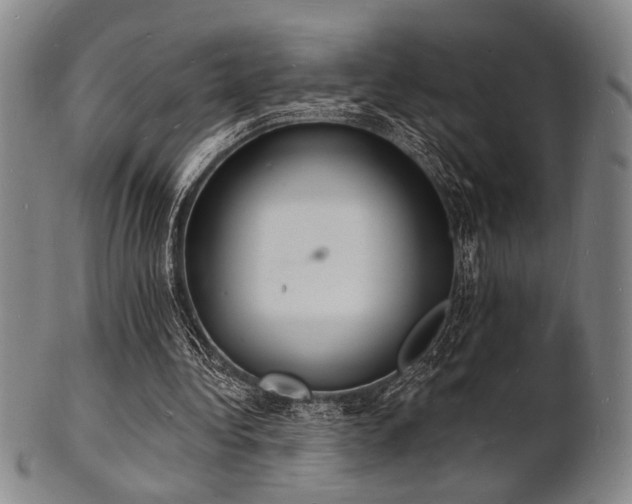 X0000101690340200807101518