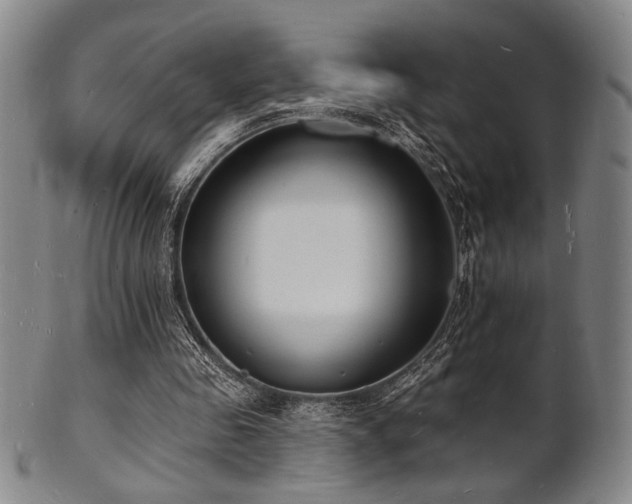 X0000101690341200807101518