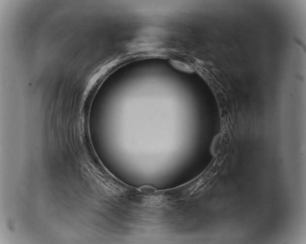 X0000101690342200807101518