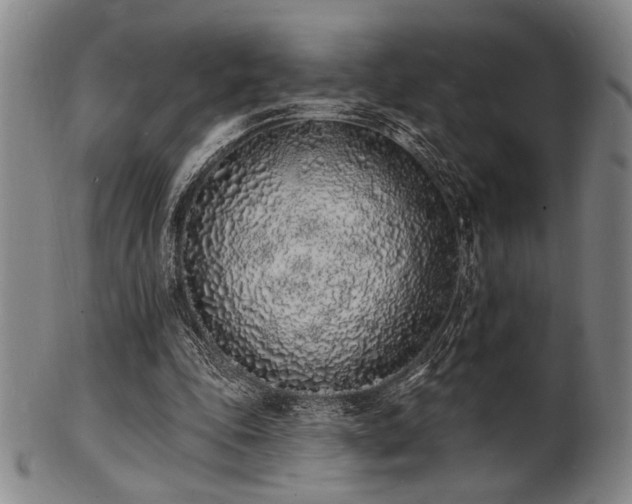 X0000101690343200807101518