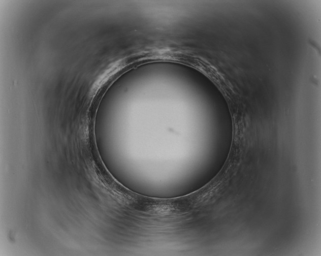 X0000101690344200807101518