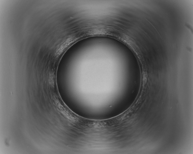 X0000101690345200807101518