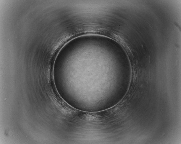 X0000101690346200807101518