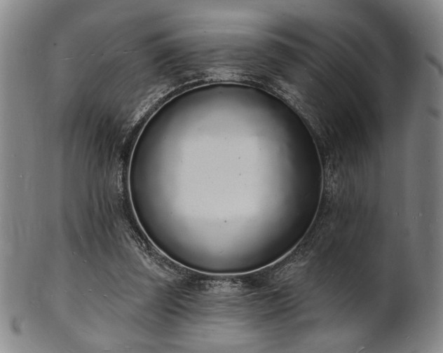 X0000101690347200807101518