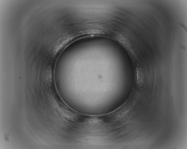 X0000101690348200807101518