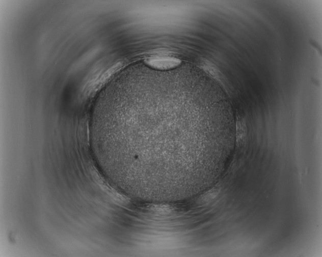 X0000101690349200807101518