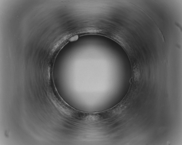 X0000101690350200807101518