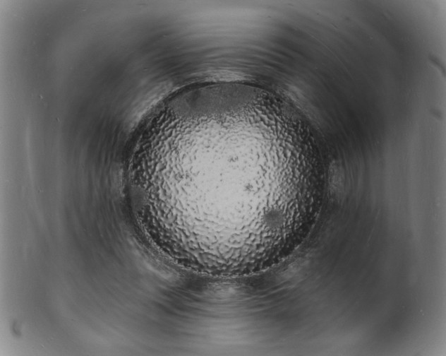 X0000101690351200807101518