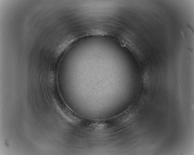 X0000101690352200807101518