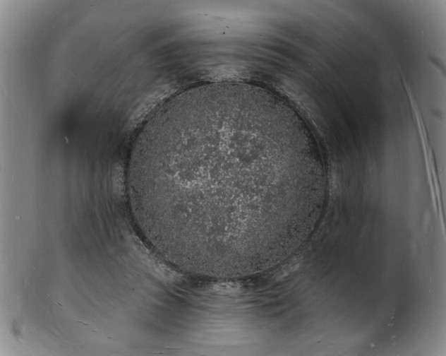 X0000101690353200807101518