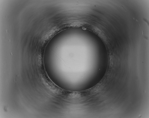 X0000101690354200807101518