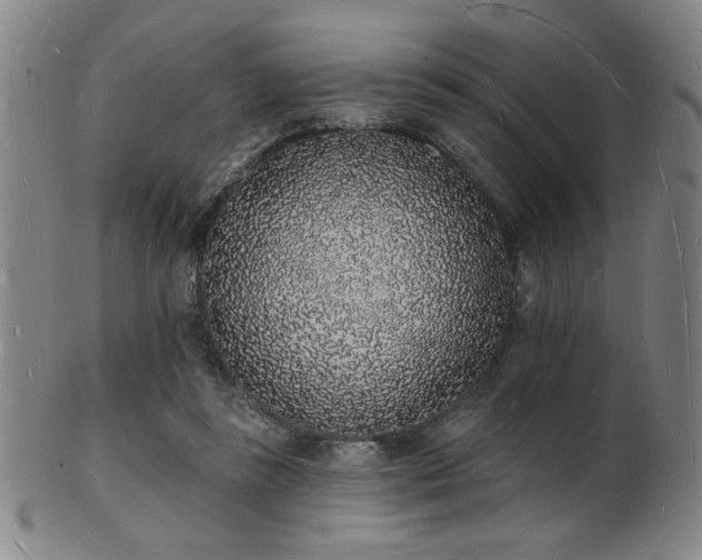 X0000101690355200807101518