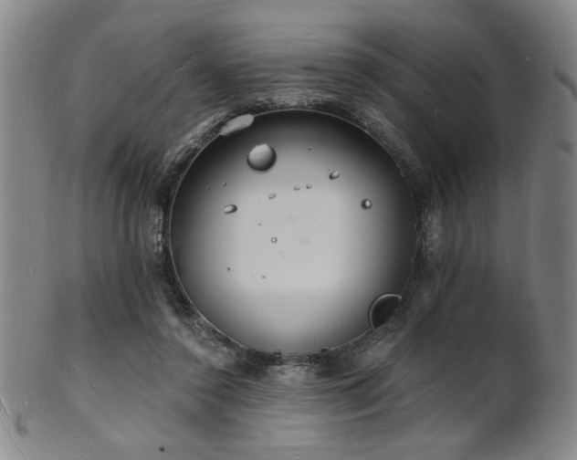 X0000101690356200807101518