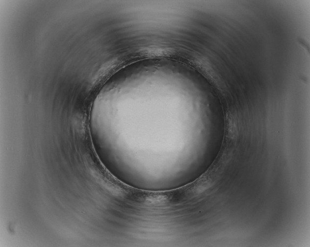 X0000101690357200807101518