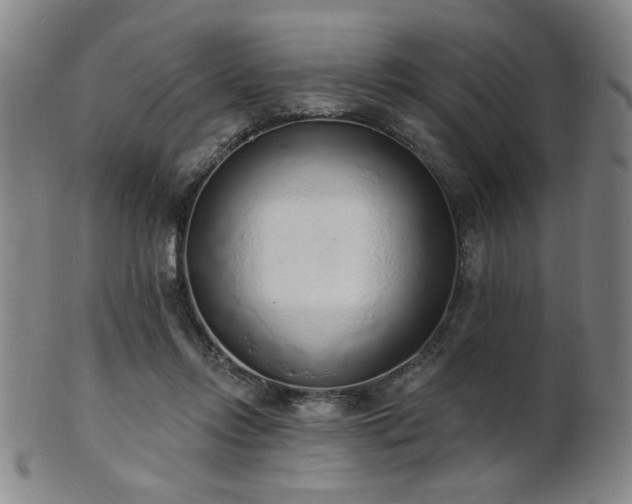 X0000101690358200807101518