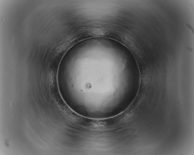 X0000101690359200807101518