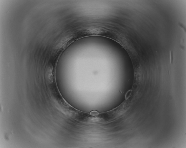 X0000101690360200807101518