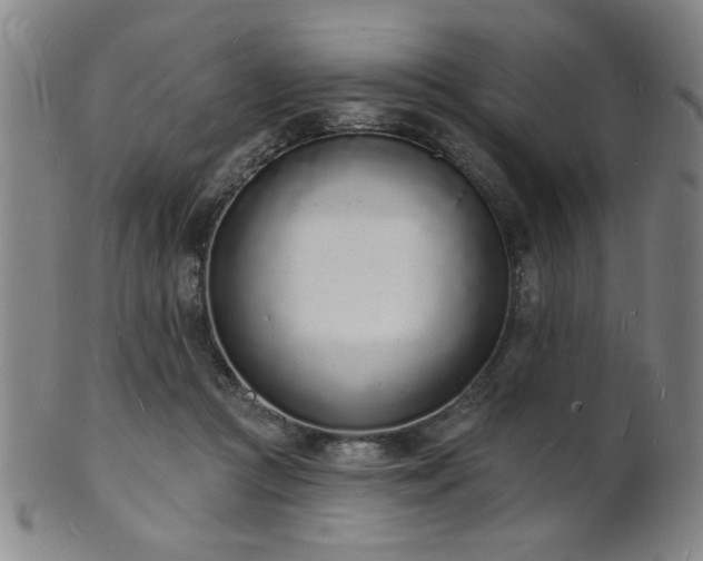 X0000101690361200807101518