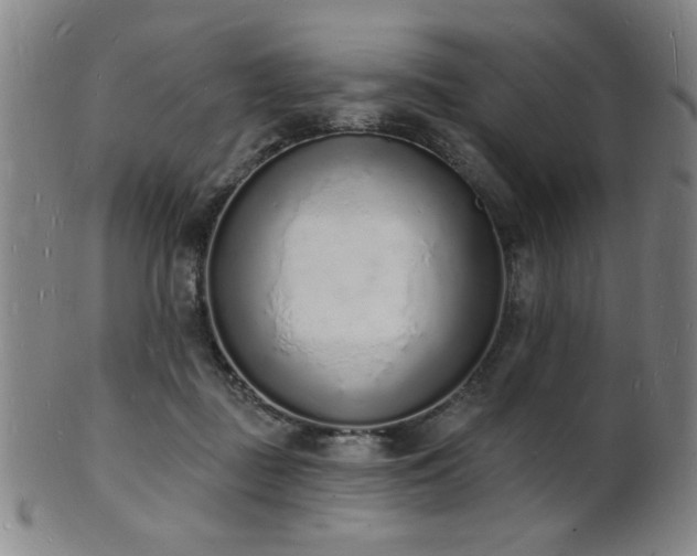 X0000101690363200807101518