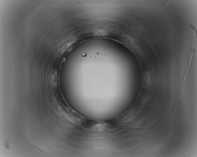 X0000101690364200807101518