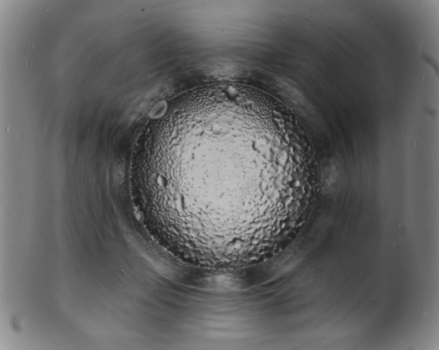 X0000101690365200807101518