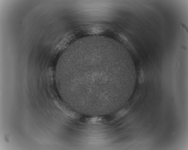 X0000101690366200807101518