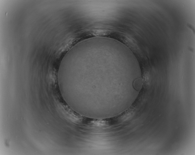 X0000101690367200807101518