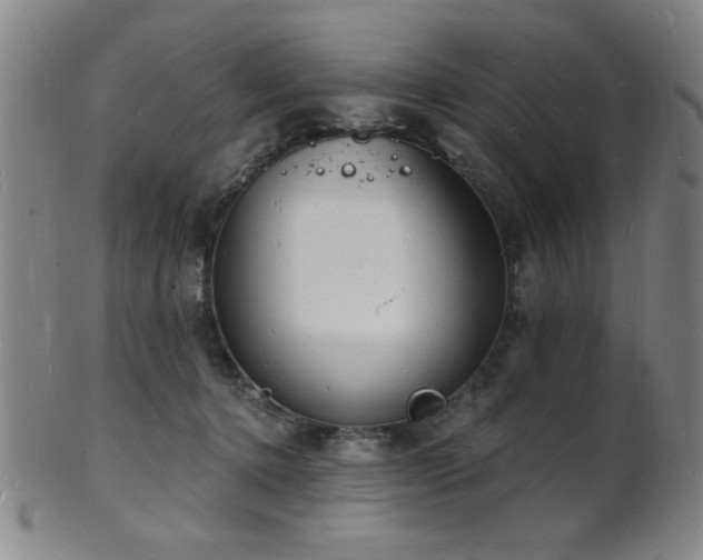 X0000101690368200807101518