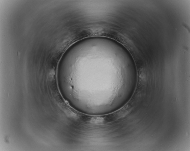 X0000101690369200807101518