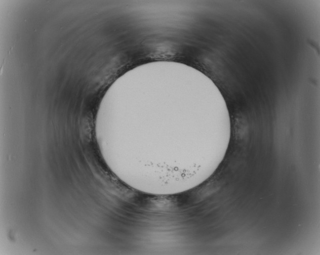 X0000101690370200807101518