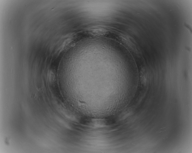 X0000101690371200807101518