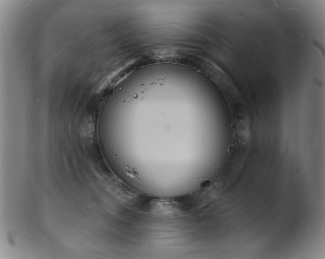 X0000101690372200807101518