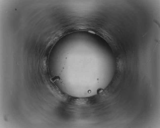 X0000101690373200807101518