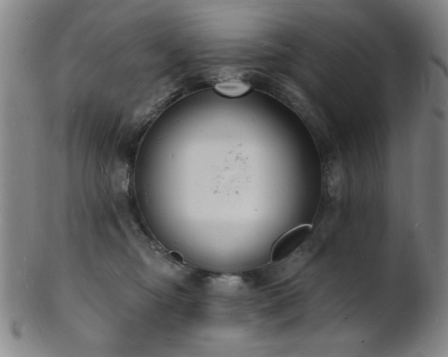 X0000101690374200807101518