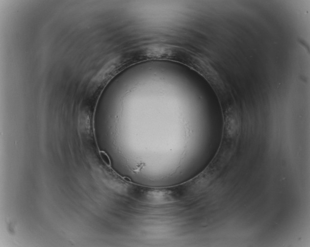 X0000101690375200807101518