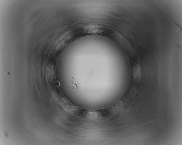 X0000101690376200807101518