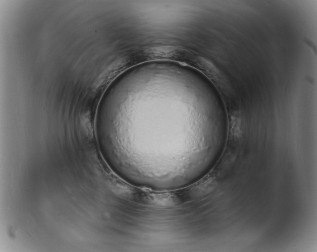 X0000101690377200807101519