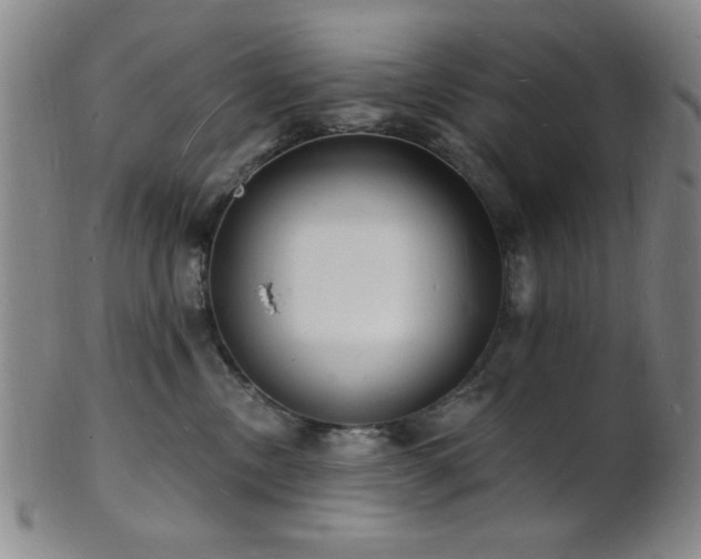 X0000101690378200807101519