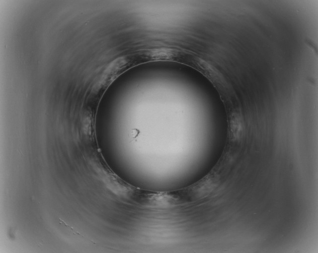 X0000101690379200807101519