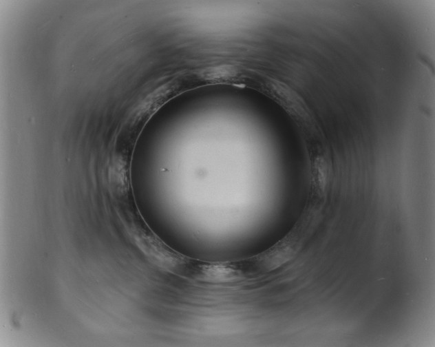 X0000101690380200807101519