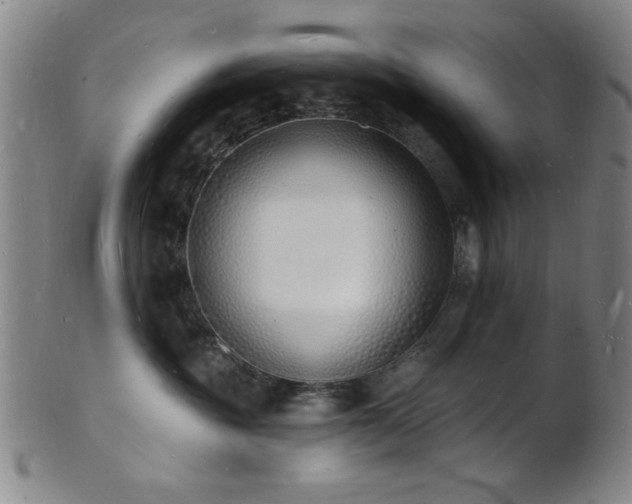 X0000101690381200807101519