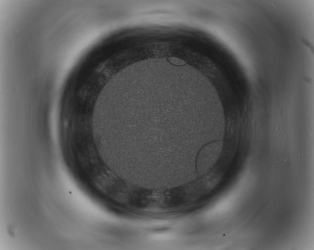 X0000101690383200807101519