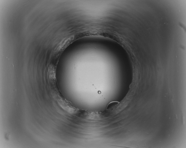 X0000101690384200807101519