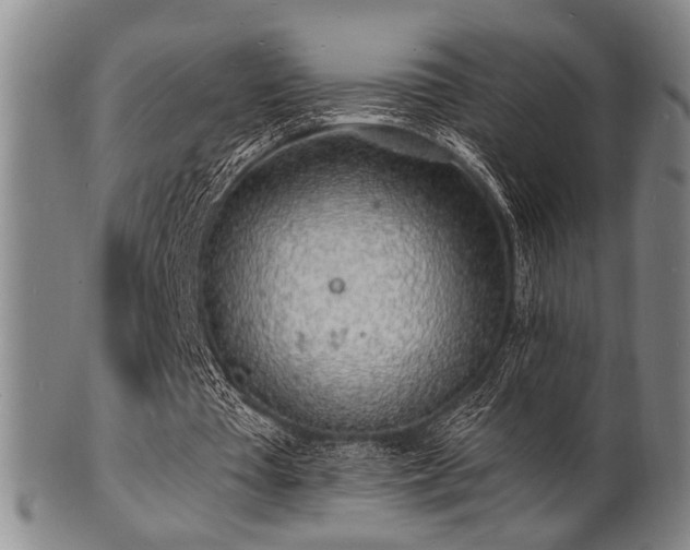 X0000101690385200807101518